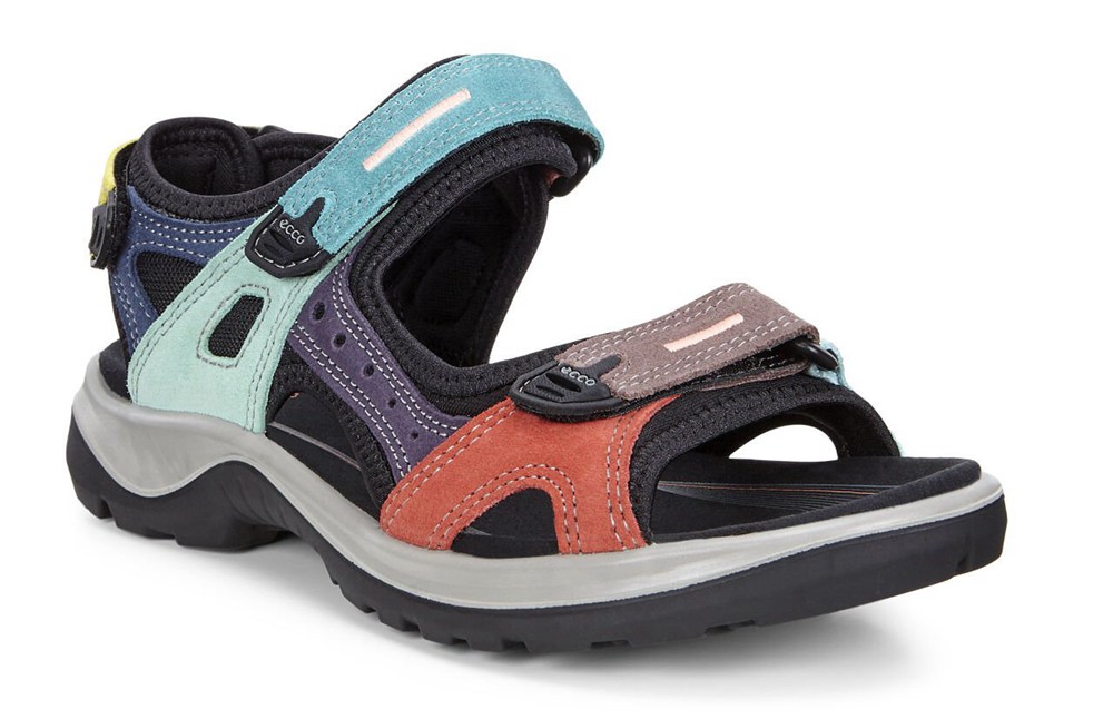 ECCO Womens Sandals Multicolor - Anniversary - SQT-701924